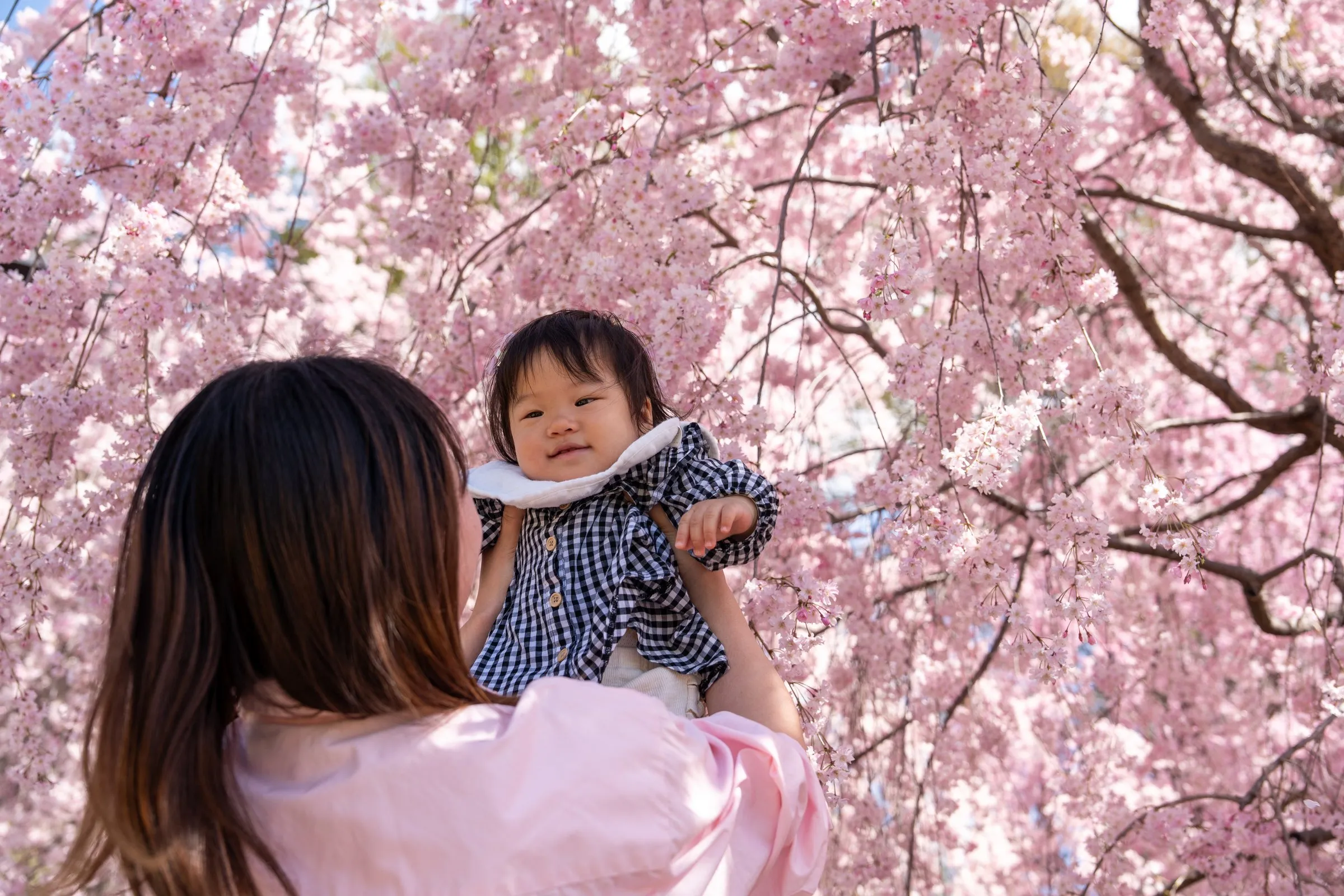 季節の撮影会